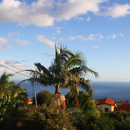 Lugar Dos Louros 2 Apartamento Estreito Da Calheta Exterior foto
