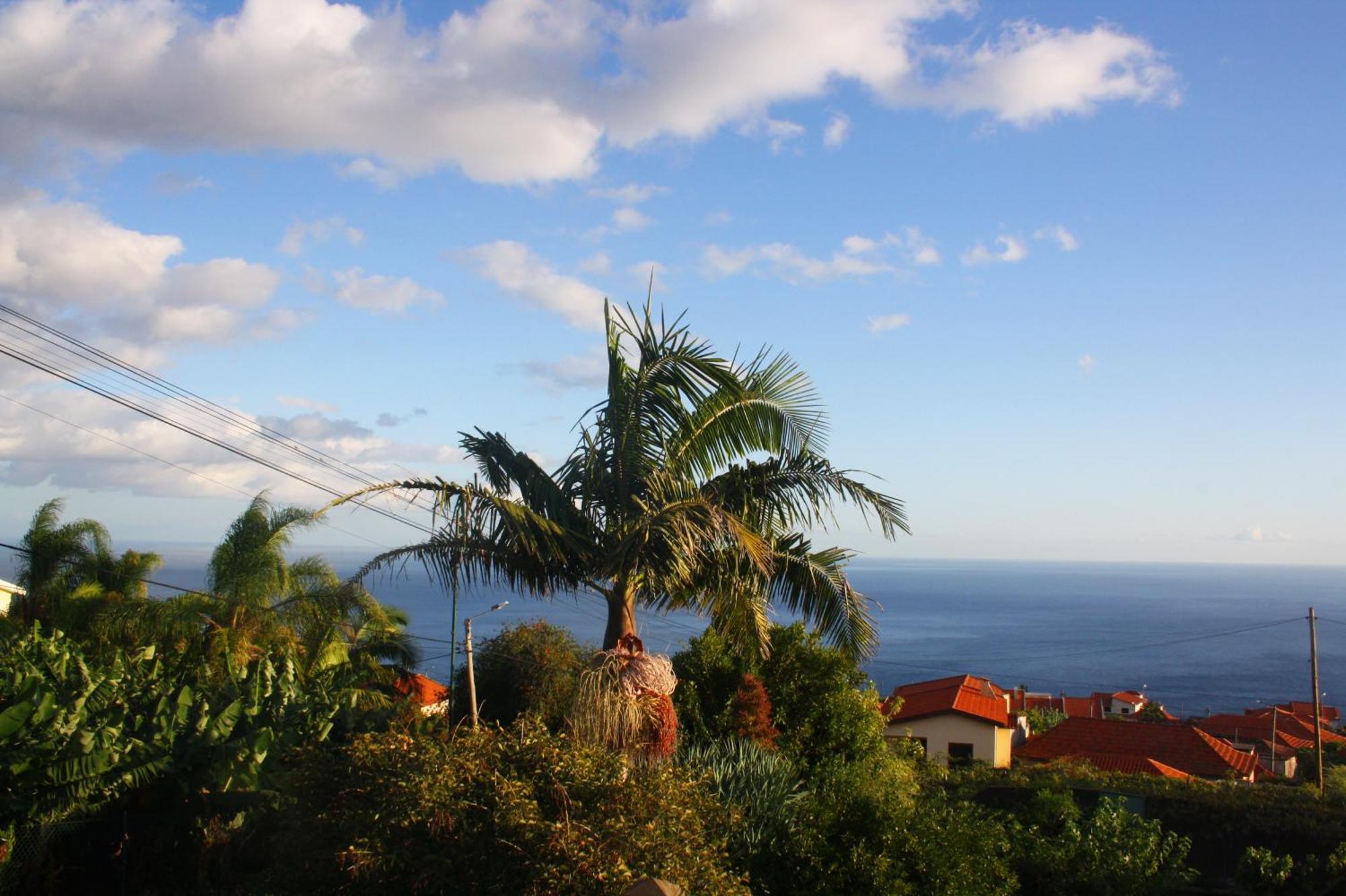 Lugar Dos Louros 2 Apartamento Estreito Da Calheta Exterior foto