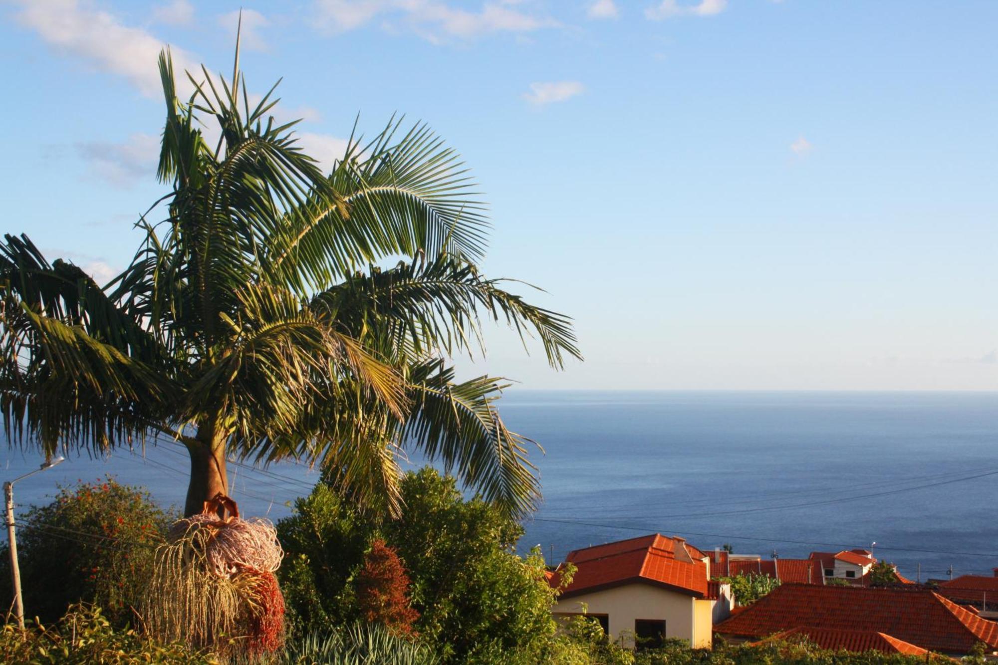 Lugar Dos Louros 2 Apartamento Estreito Da Calheta Exterior foto